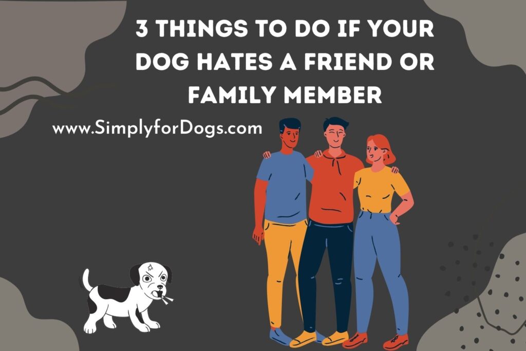 dog-hates-a-friend-steps-to-take-simply-for-dogs