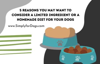 5 Reasons You May Want to Consider a Limited Ingredient or a Homemade Diet for Your Dogs