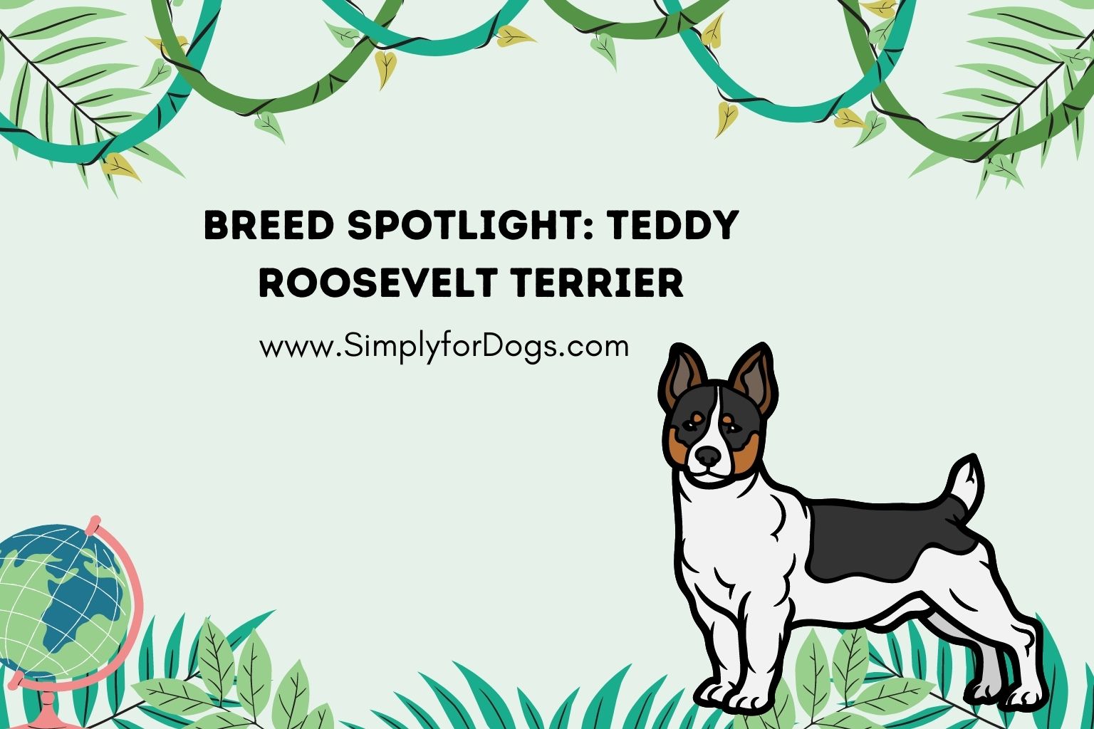 Teddy Roosevelt Terrier