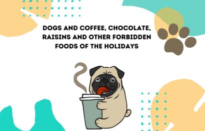 Dogs and Coffee, Chocolate, Raisins and Other Forbidden Foods of the Holidays