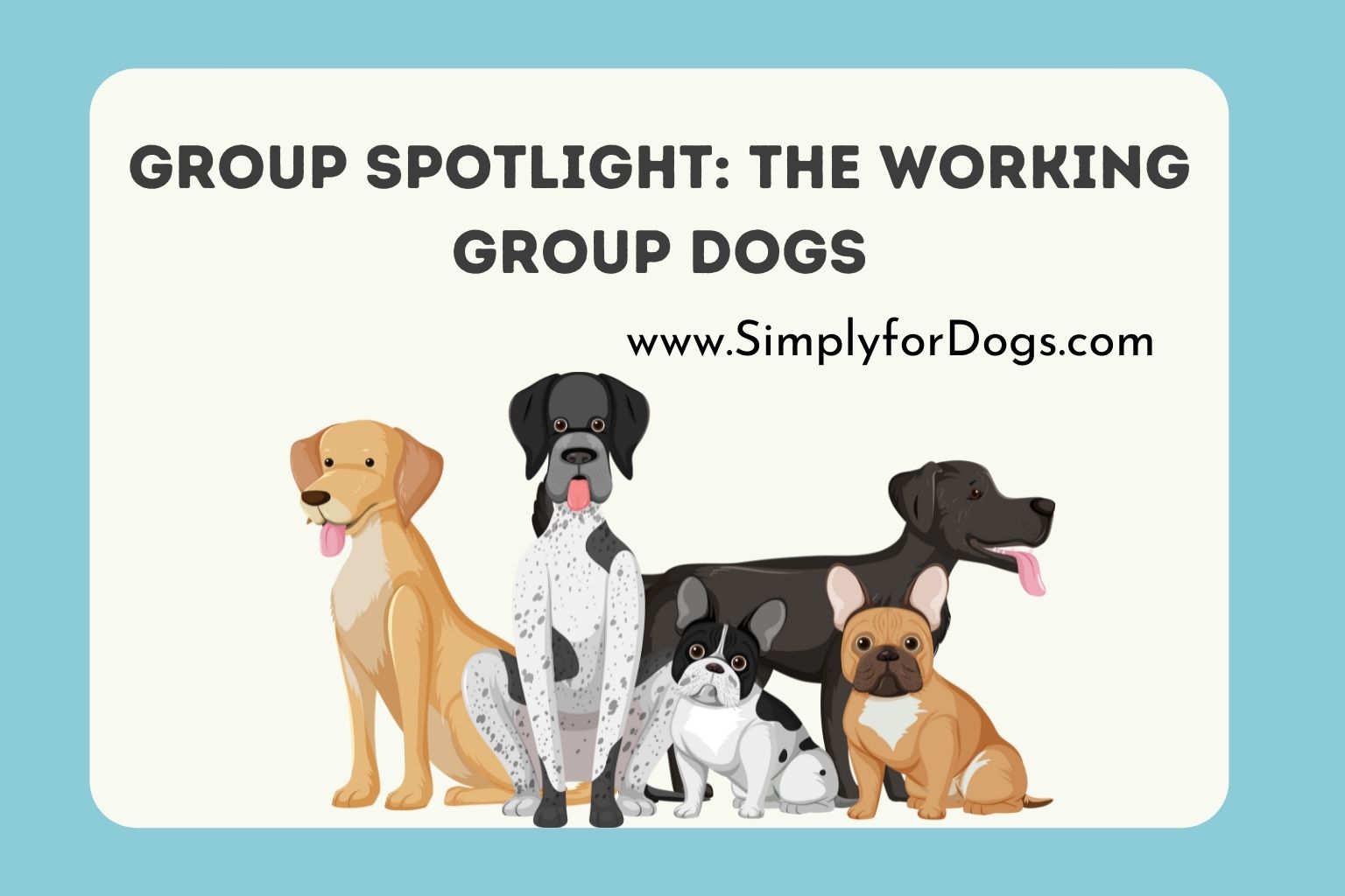 Group Spotlight_ The Working Group Dogs