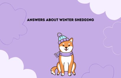 Answers about Winter Shedding