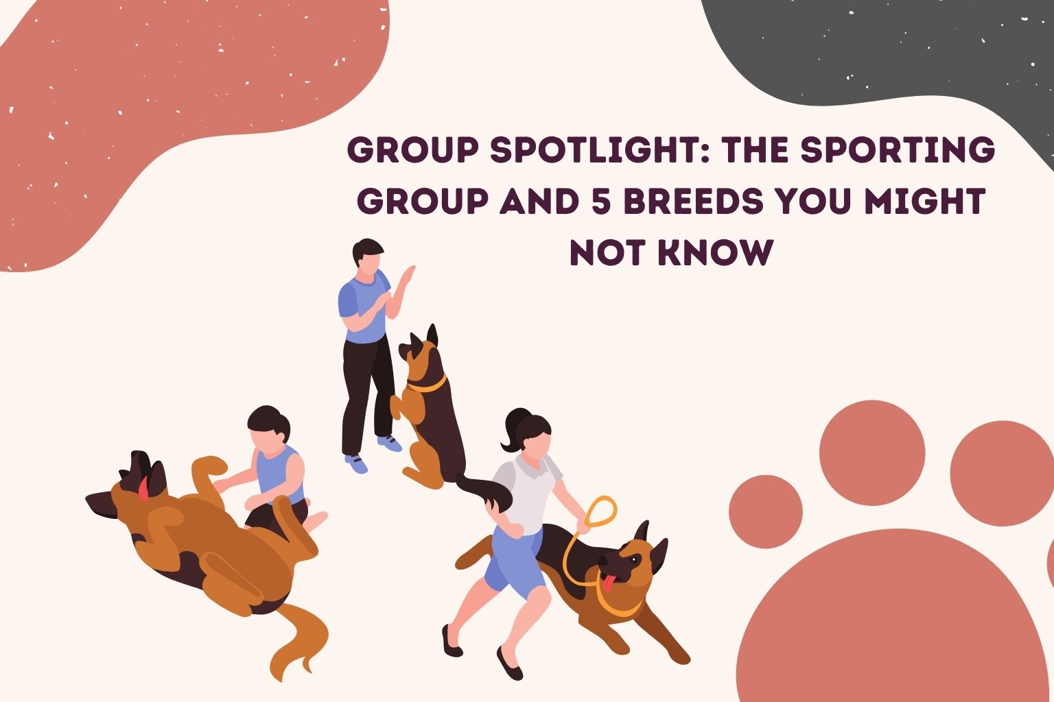 Group Spotlight_ The Sporting Group and 5 Breeds You Might Not Know