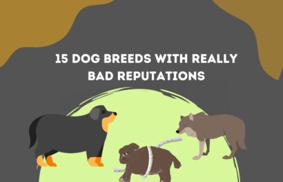 15 Dog Breeds With Really Bad Reputations