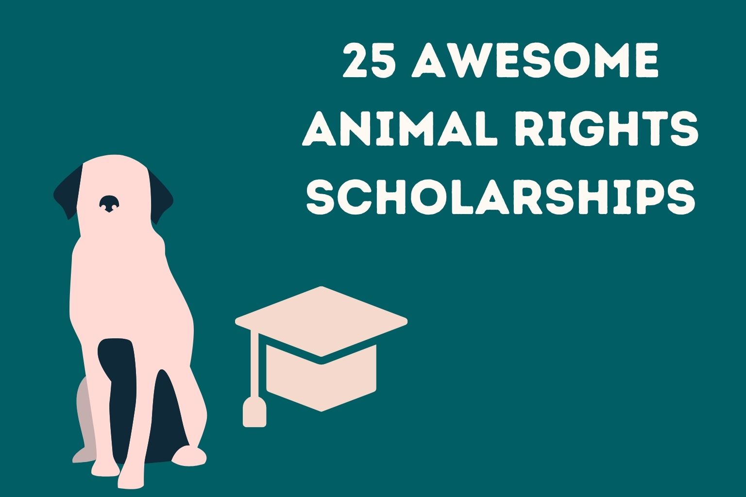 25 Awesome Animal Rights Scholarships (Accurate Information) Simply