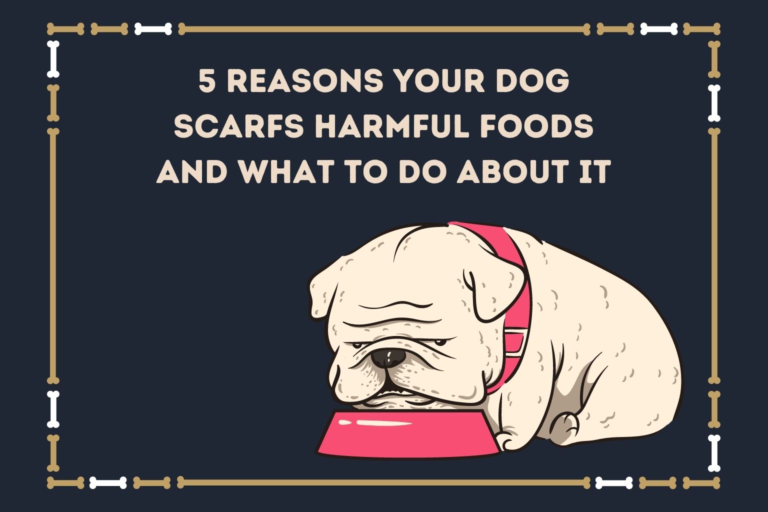 your-dog-scarfs-harmful-foods-reasons-what-to-do-simply-for-dogs