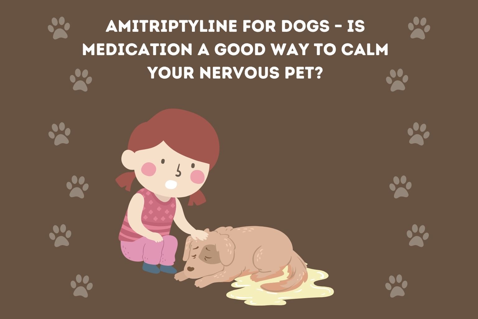 Amitriptyline for Dogs – Is Medication a Good Way to Calm Your Nervous Pet_