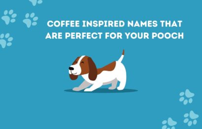 Coffee Inspired Names That Are Perfect for Your Pooch