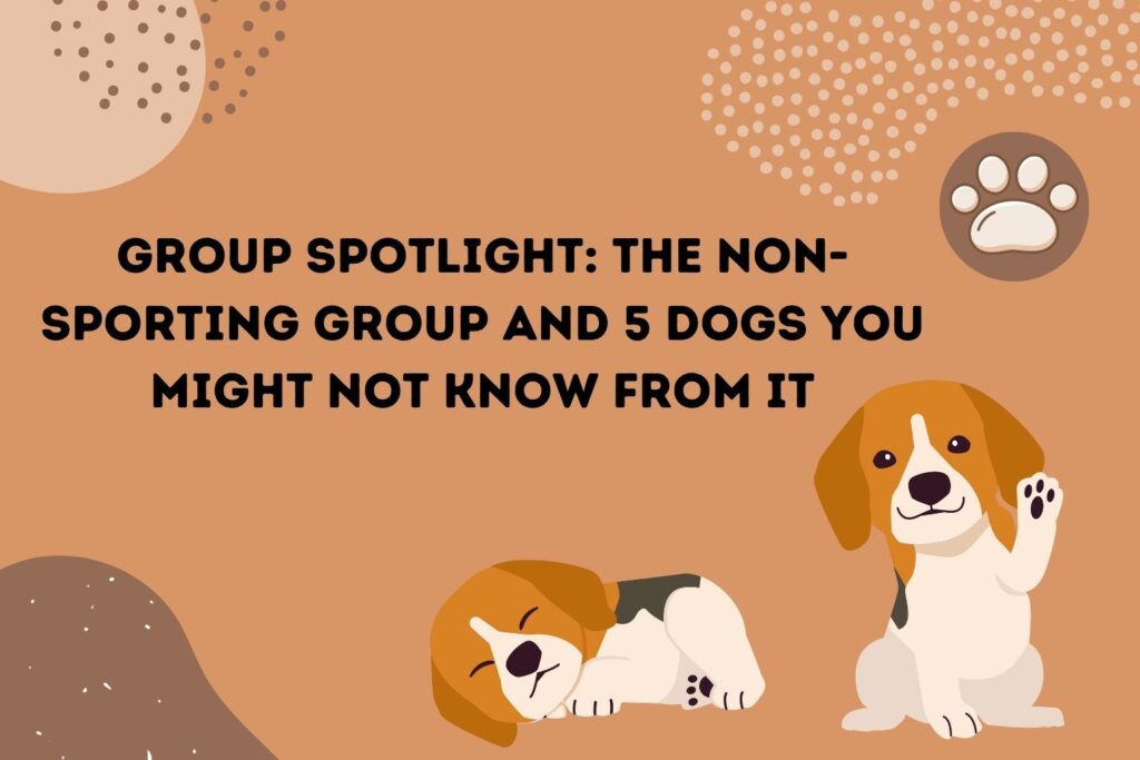 Group Spotlight The NonSporting Group (Detailed Information) Simply