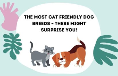 The Most Cat Friendly Dog Breeds – These Might Surprise You!