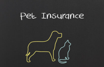 Pet Insurance