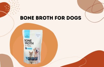 Bone Broth for Dogs