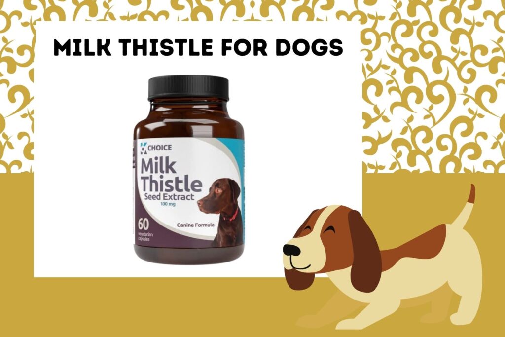 Milk Thistle for Dogs (Know Before Use) Simply For Dogs