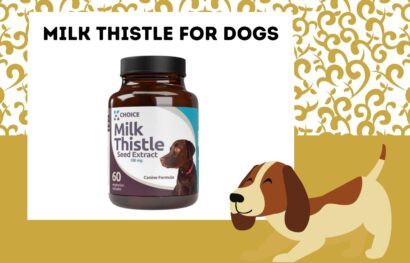 Milk Thistle for Dogs