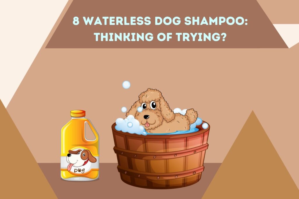 8 Waterless Dog Shampoo (Good or Bad?) Simply For Dogs