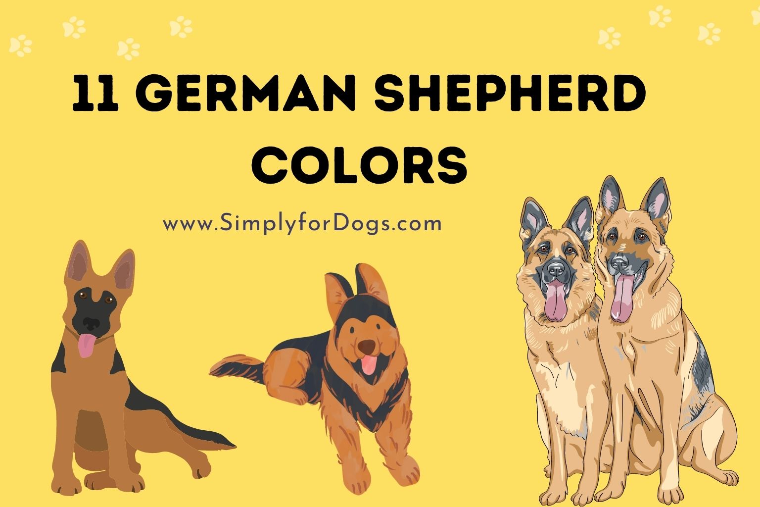 11 German Shepherd Colors