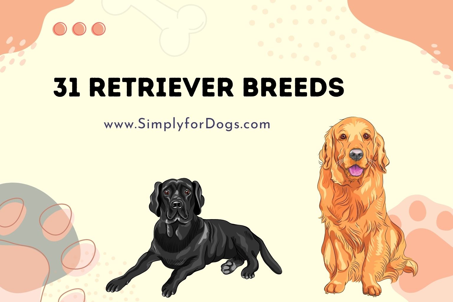 31 Retriever Breeds