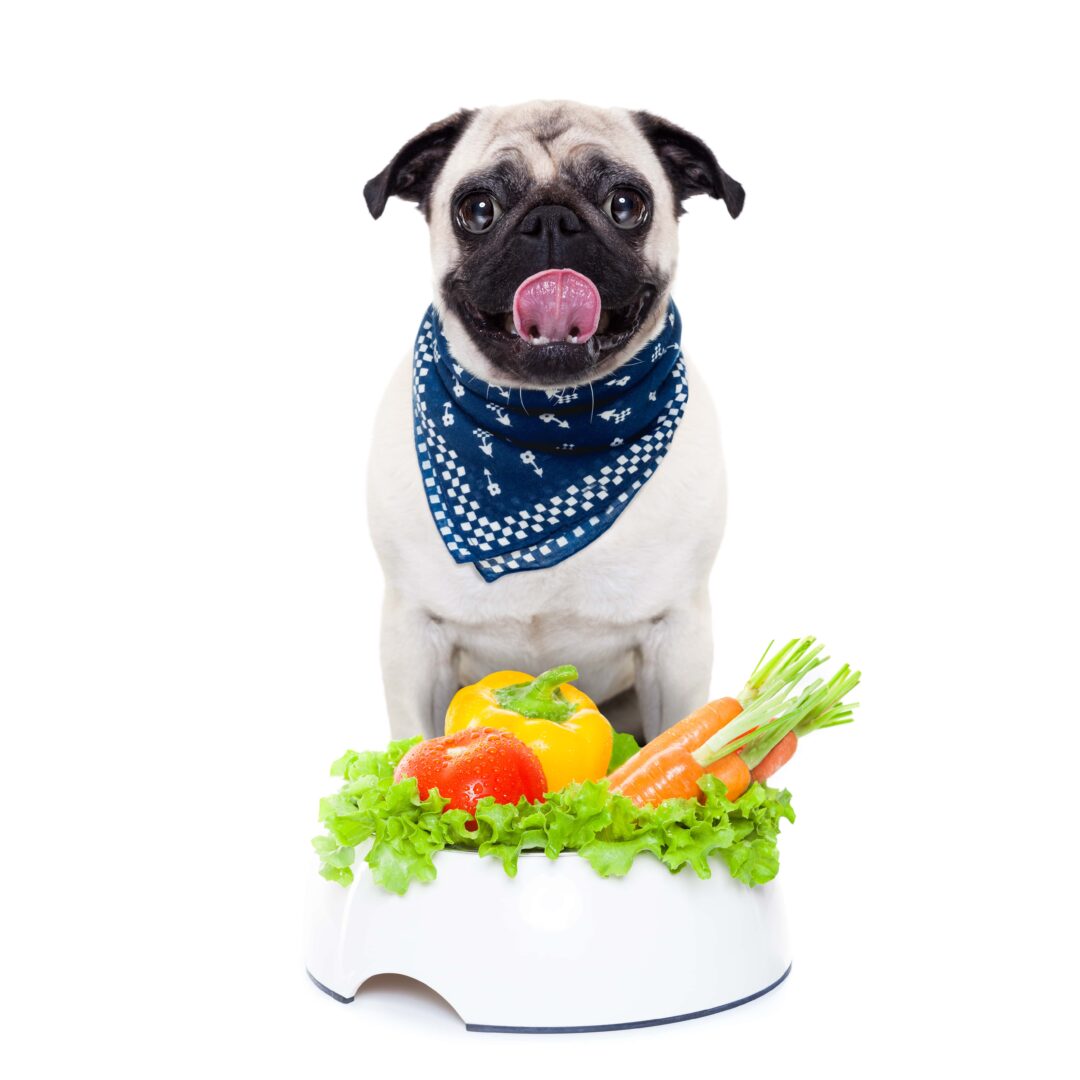 vegetables-dogs-can-eat-rev-up-your-dog-s-diet-simply-for-dogs