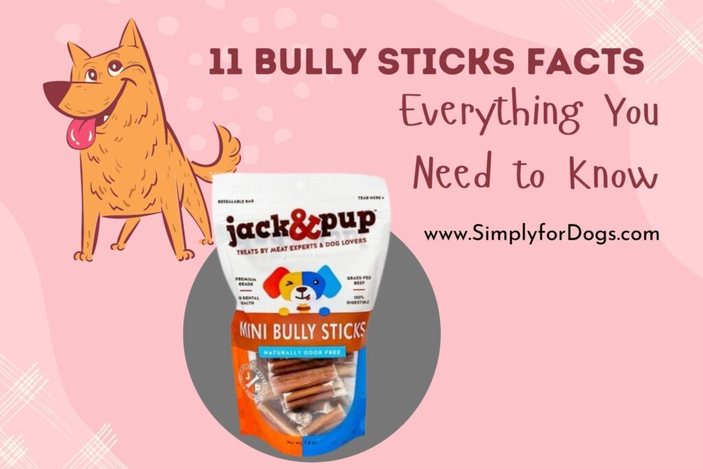 11 Bully Sticks Facts (Price, Health Benefits & Others) Simply For Dogs