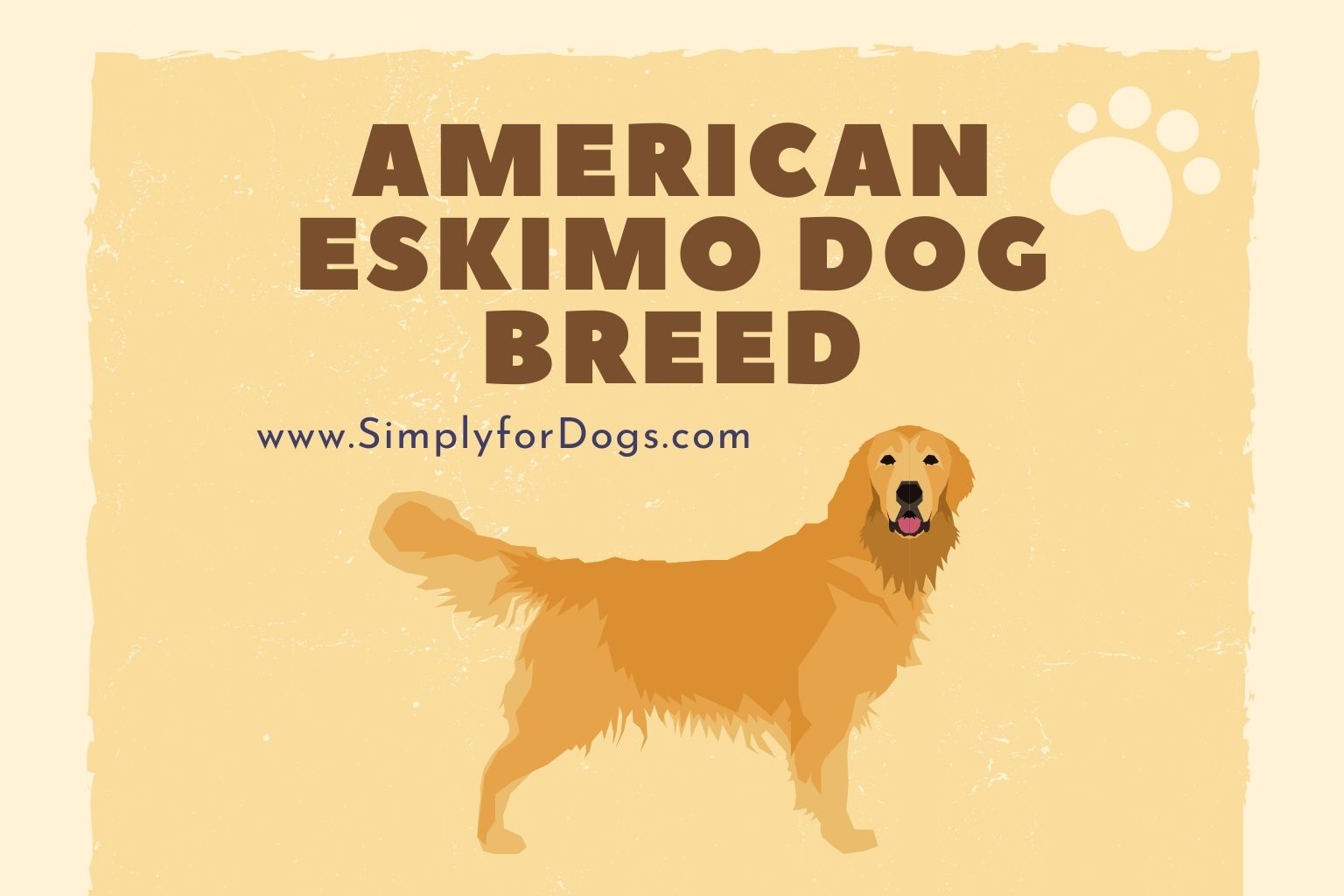 American Eskimo Dog Breed