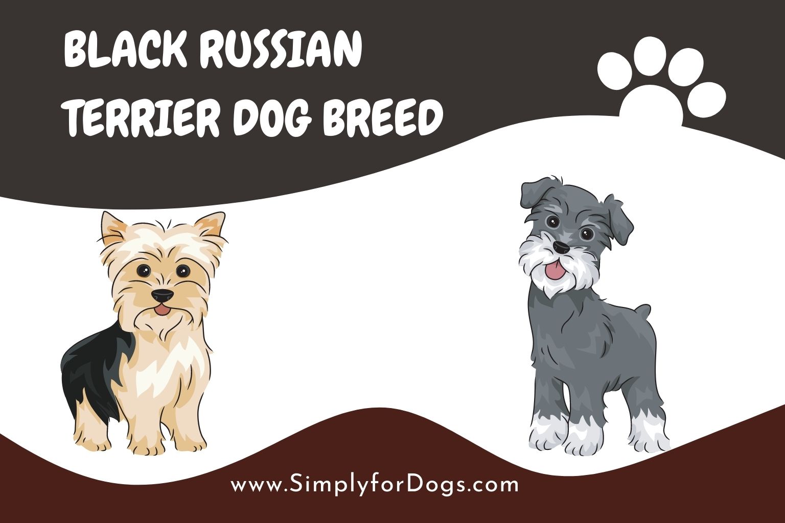 Black Russian Terrier Dog Breed