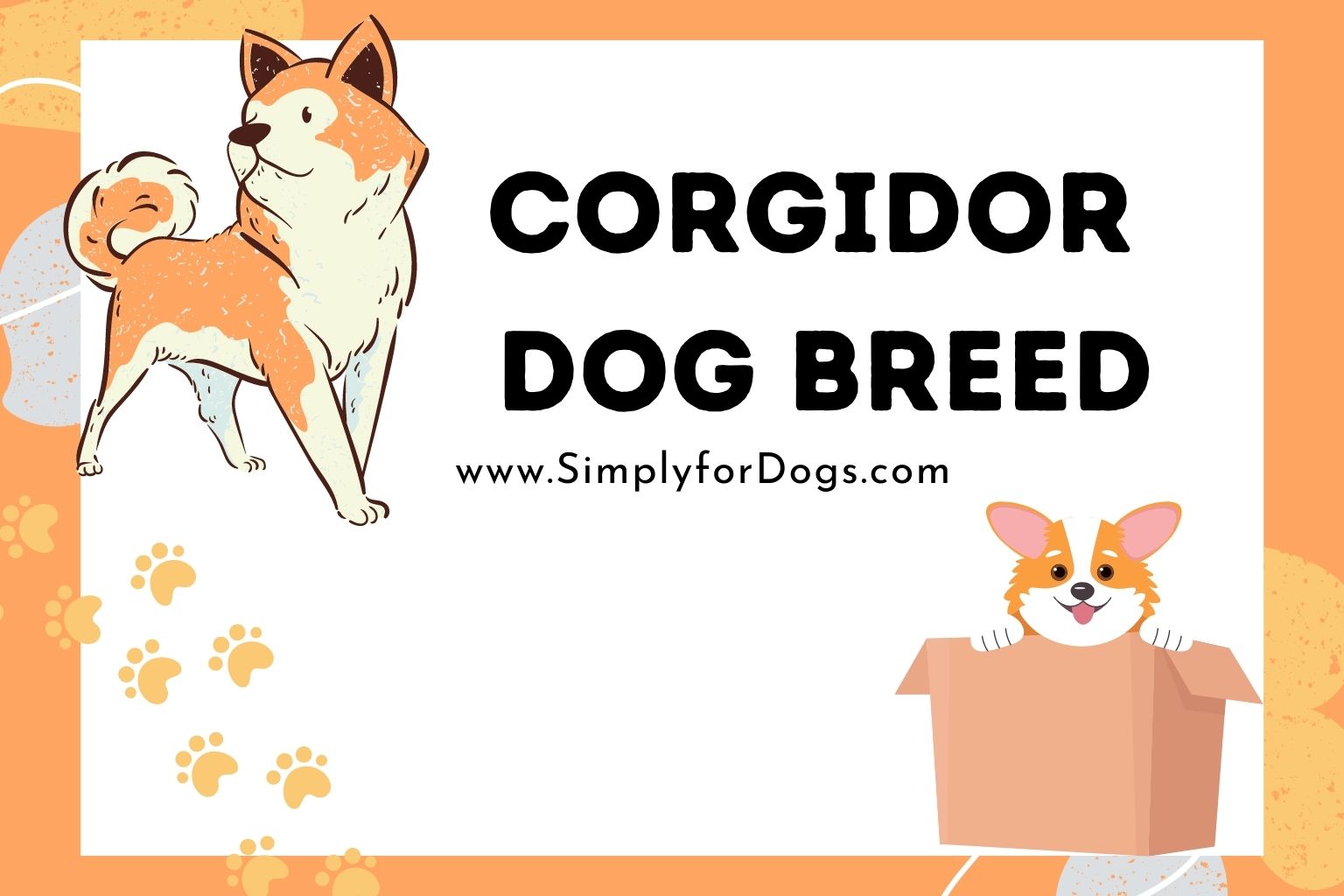 Corgidor Dog Breed