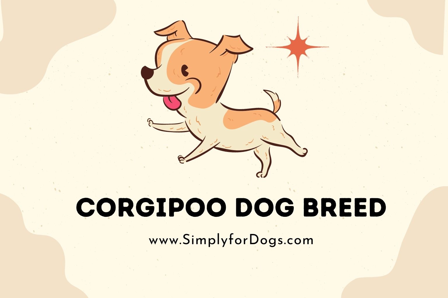 Corgipoo Dog Breed