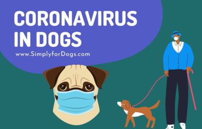 Coronavirus in Dogs