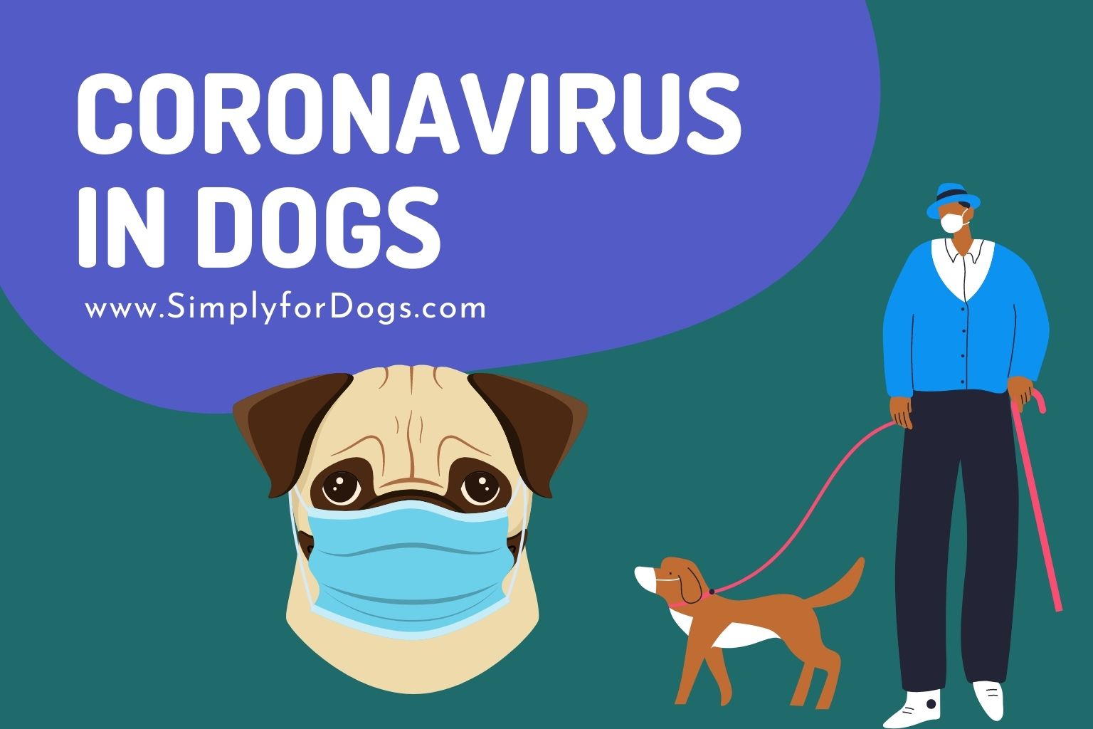 Coronavirus in Dogs