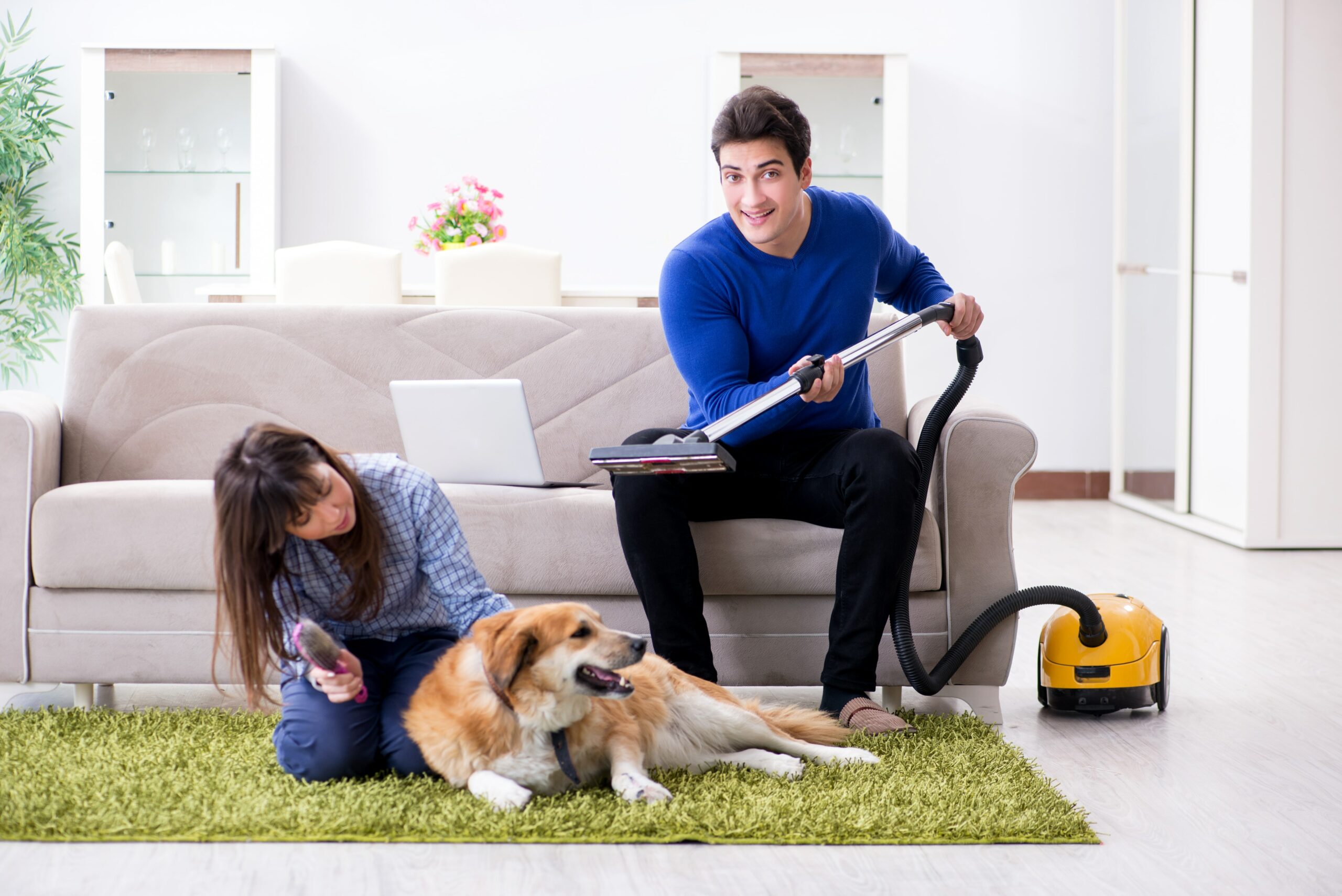 Vacuums for Pet Hair