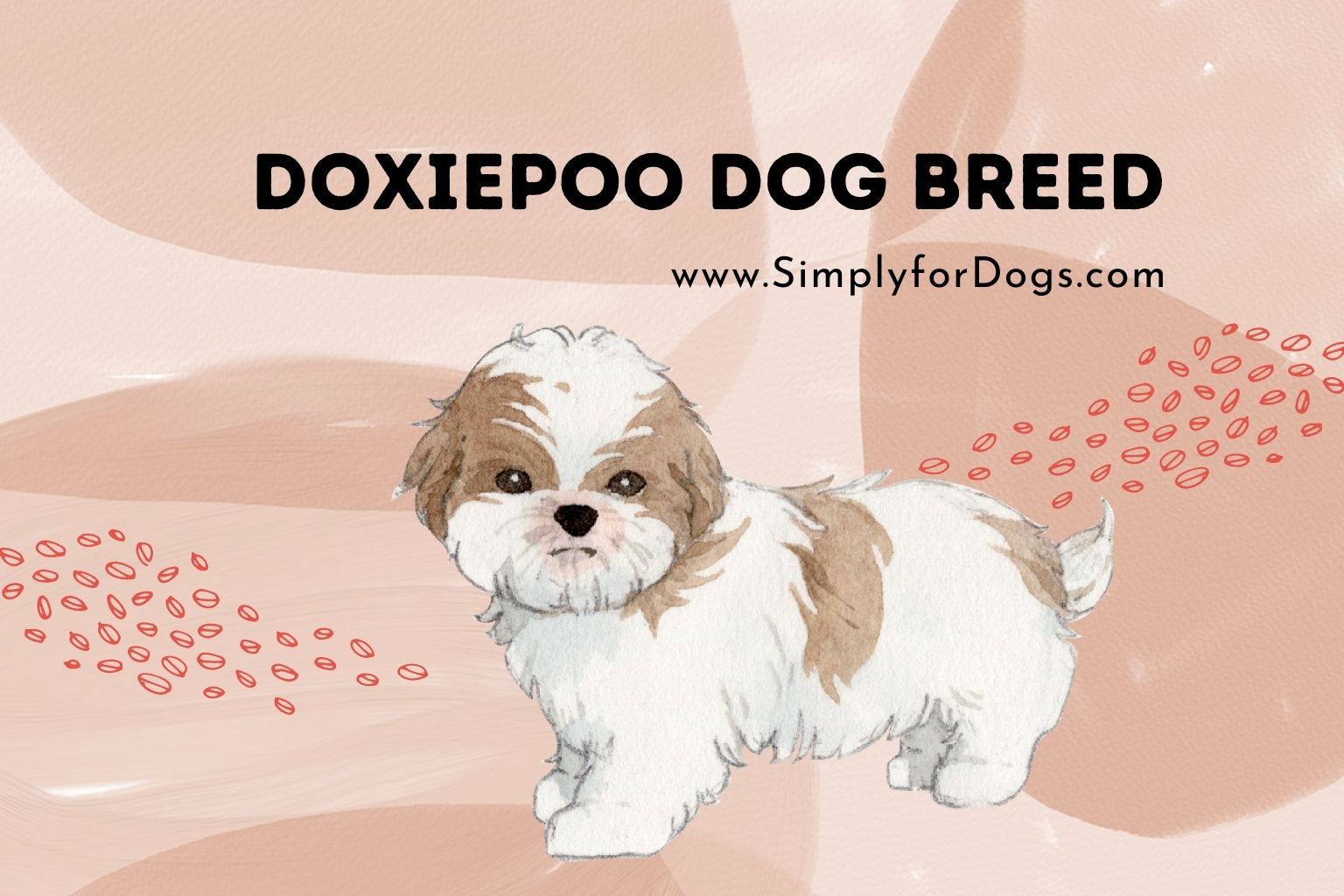 Doxiepoo Dog Breed