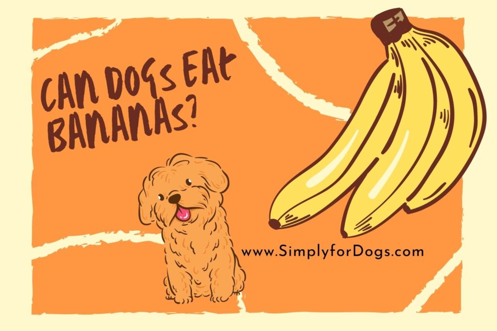 dogs-eat-bananas-diet-tips-simply-for-dogs