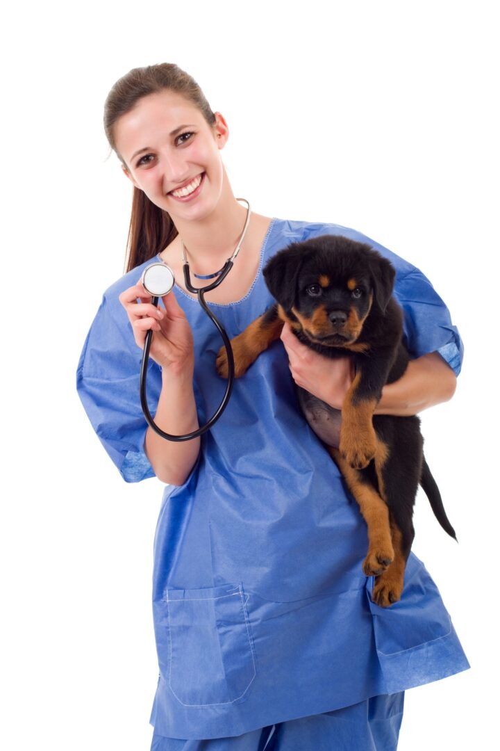 Rottweiler Health