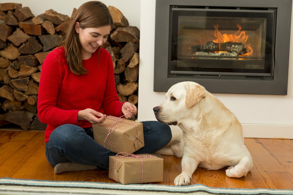 15 Things To Do Inside With Your Dog This Winter Simply For Dogs