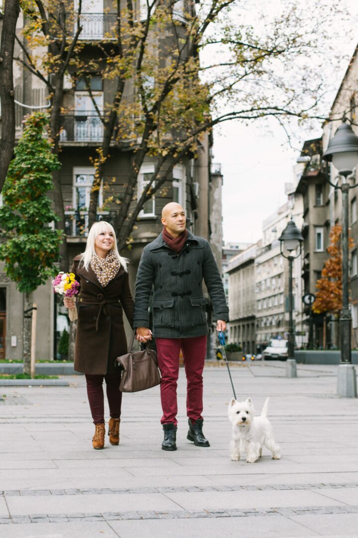 Retractable Dog Leash