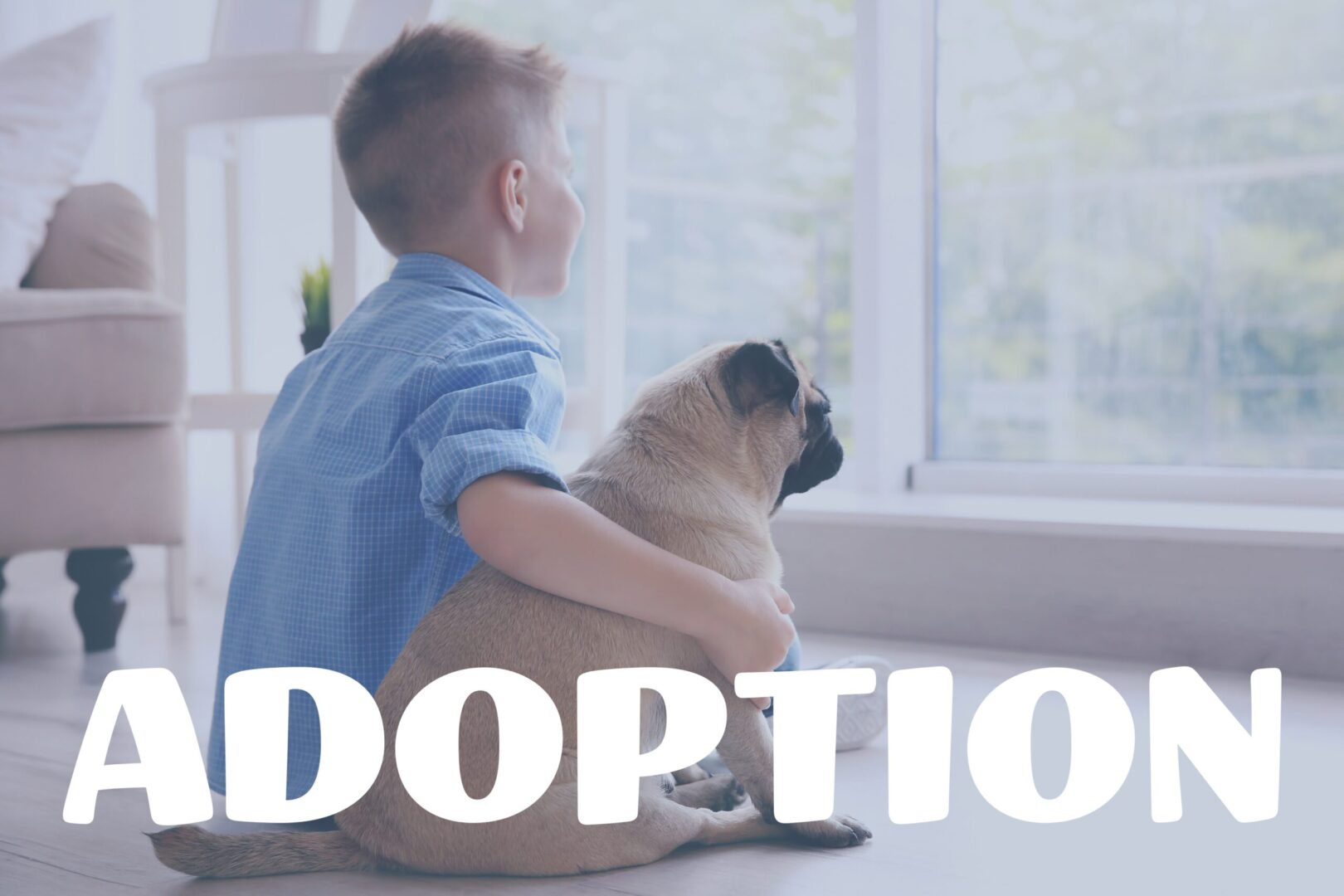 Adopting Second Dog