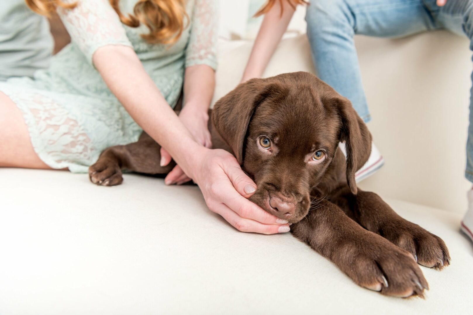 Puppys First Day Home