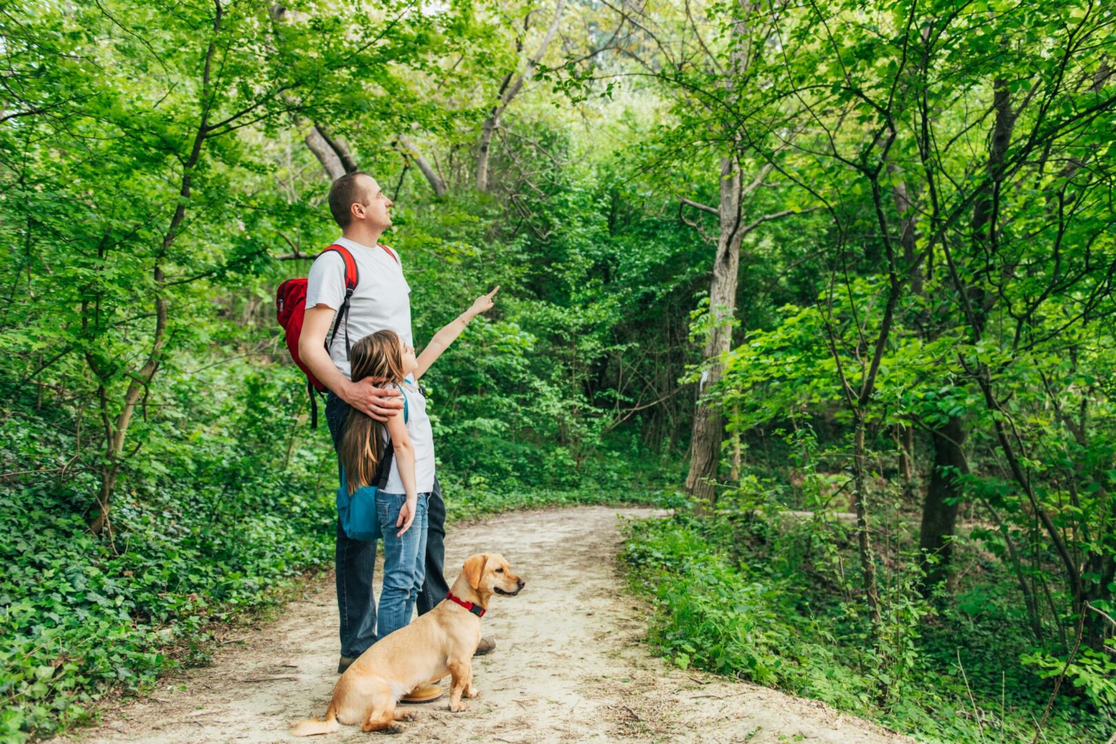 Road Trip With Dog