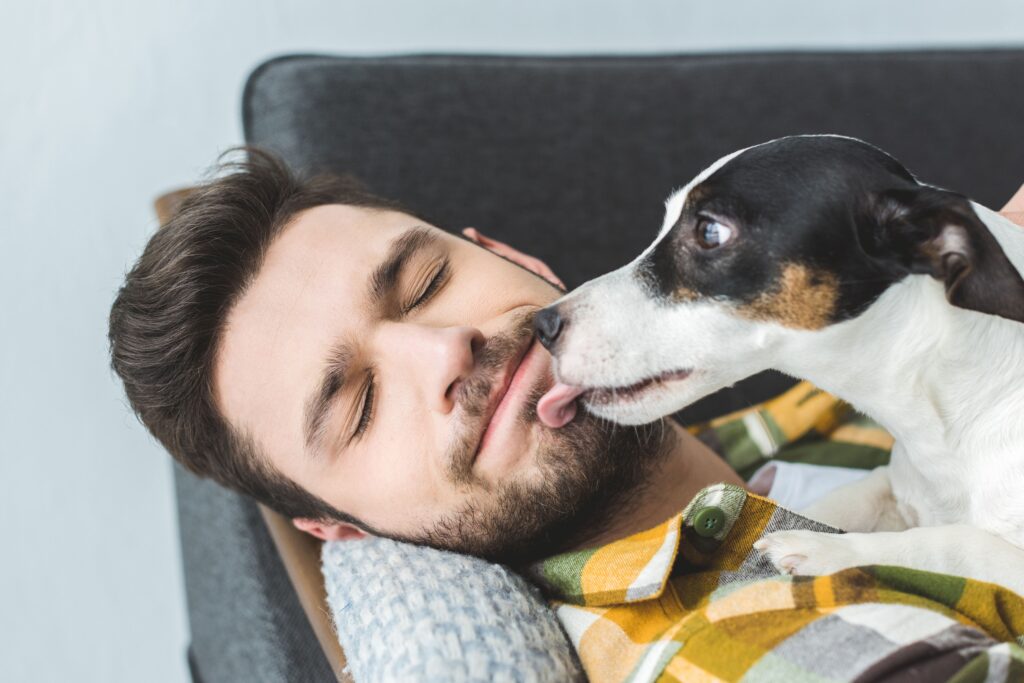 5 Reasons Your Dog is Licking You All the Time (Video) Simply For Dogs