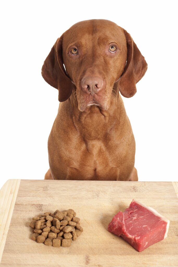 How To Choose The Best Dog Food For Pancreatitis Video Simply For Dogs