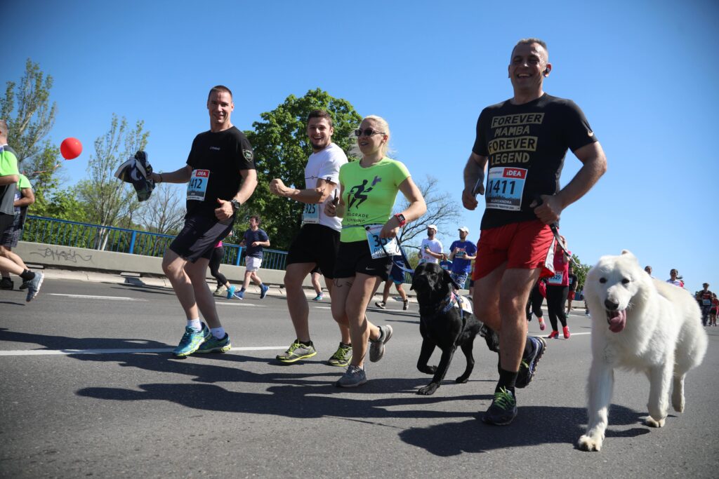 7 Pieces of Gear Essential to Runners with Dogs Simply For Dogs