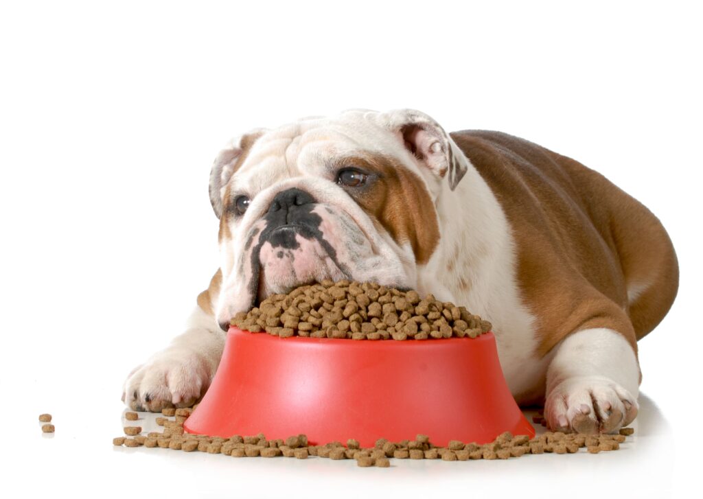 How many cups are in 40 pounds of dog food How Many Grams In A Cup Of Dry Dog Food Video Simply For Dogs