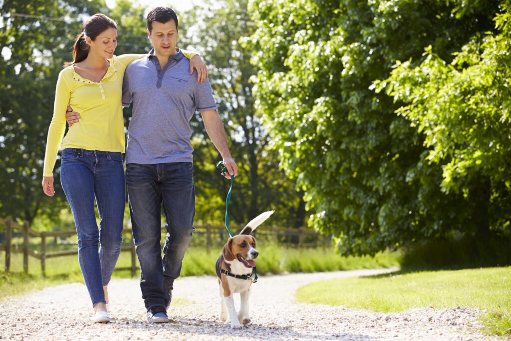 9 Tips for the Best Walk With Your Dog Simply For Dogs