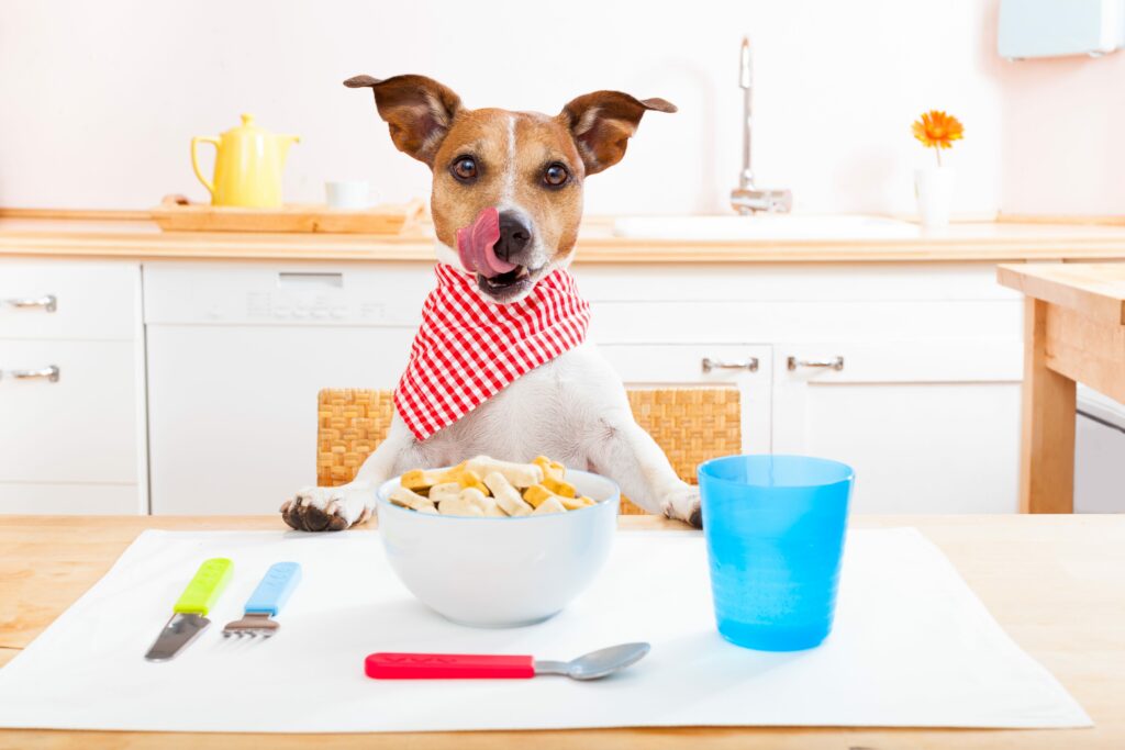 help-your-dog-go-from-fat-to-fab-with-low-calorie-dog-treats-simply