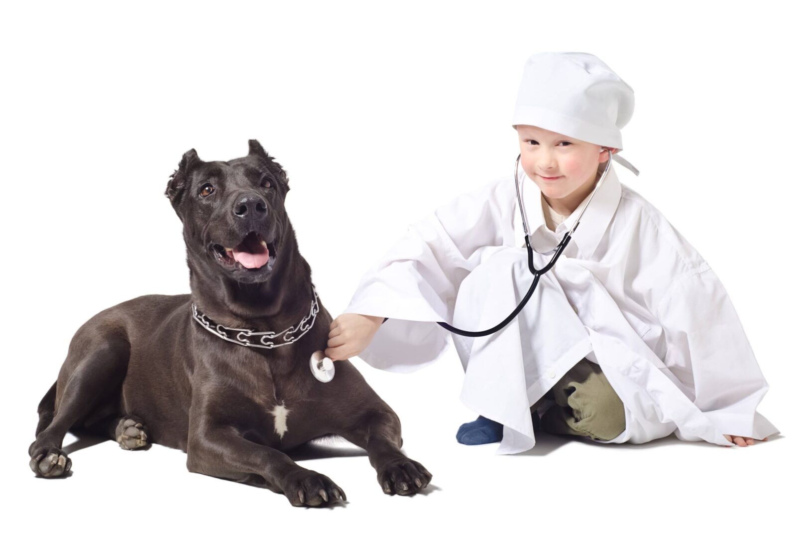 Health Problems in Pit Bulls