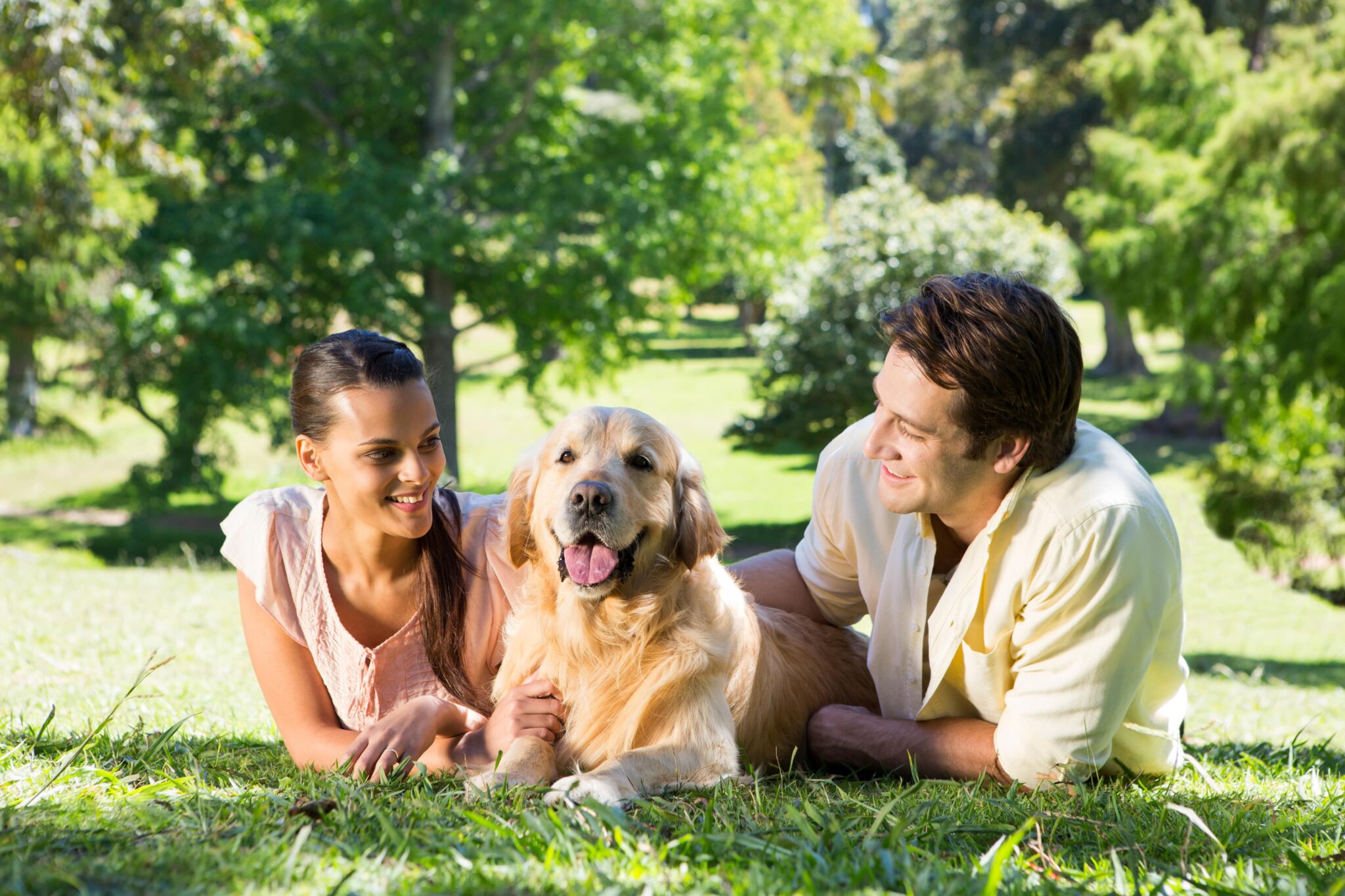 15 Rainy Day Activities to Do with Your Dog (Fun Tips) Simply For Dogs