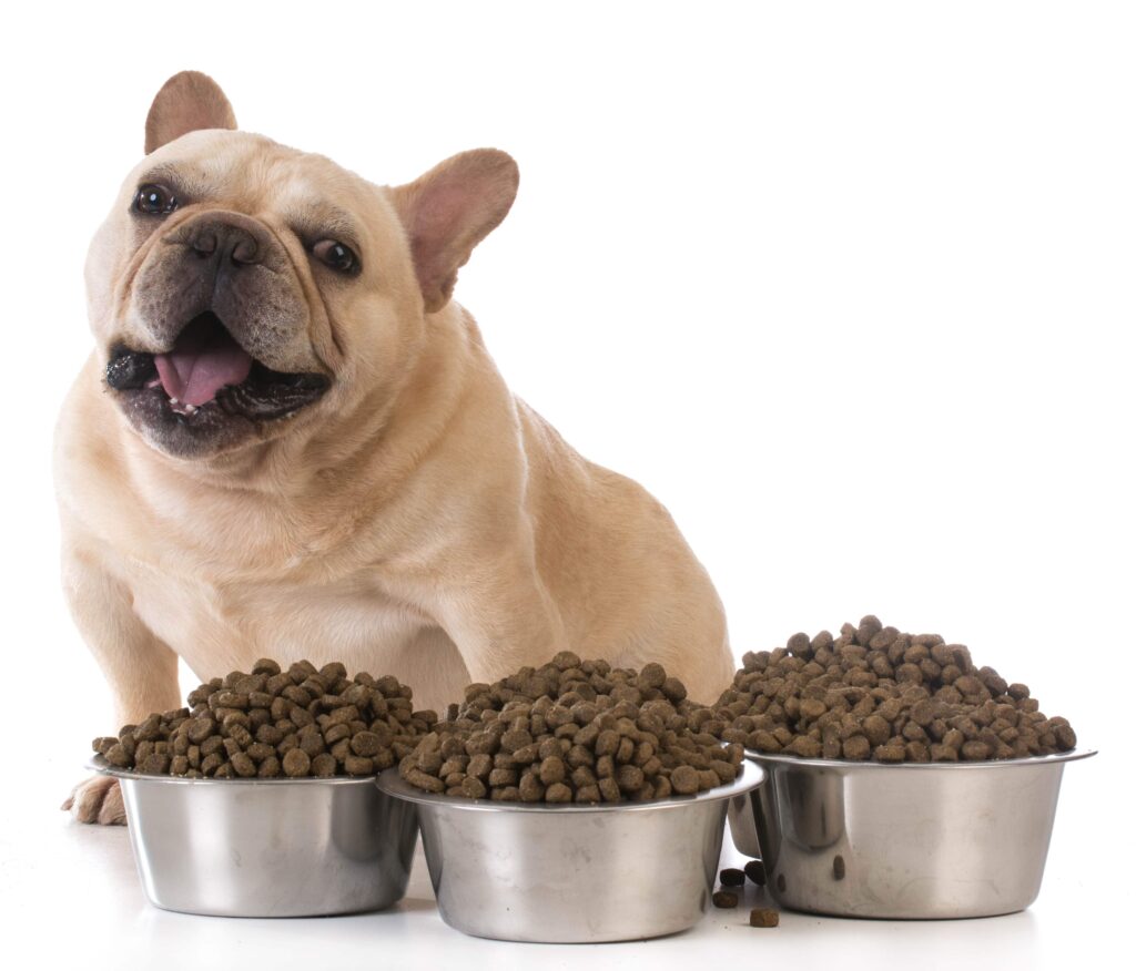 How Does IAMS Dog Food Rate? - Simply For Dogs