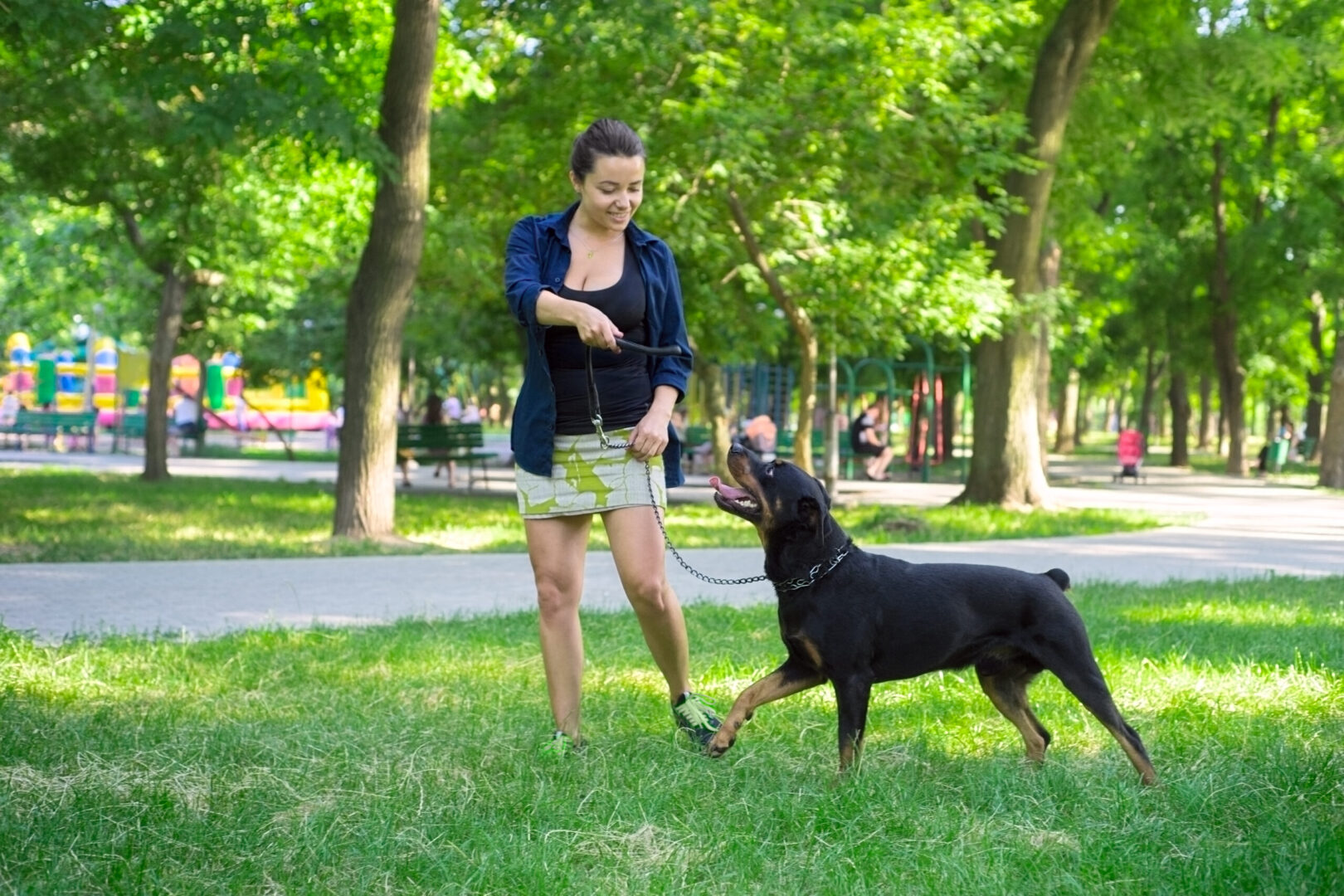 Rottweiler Training