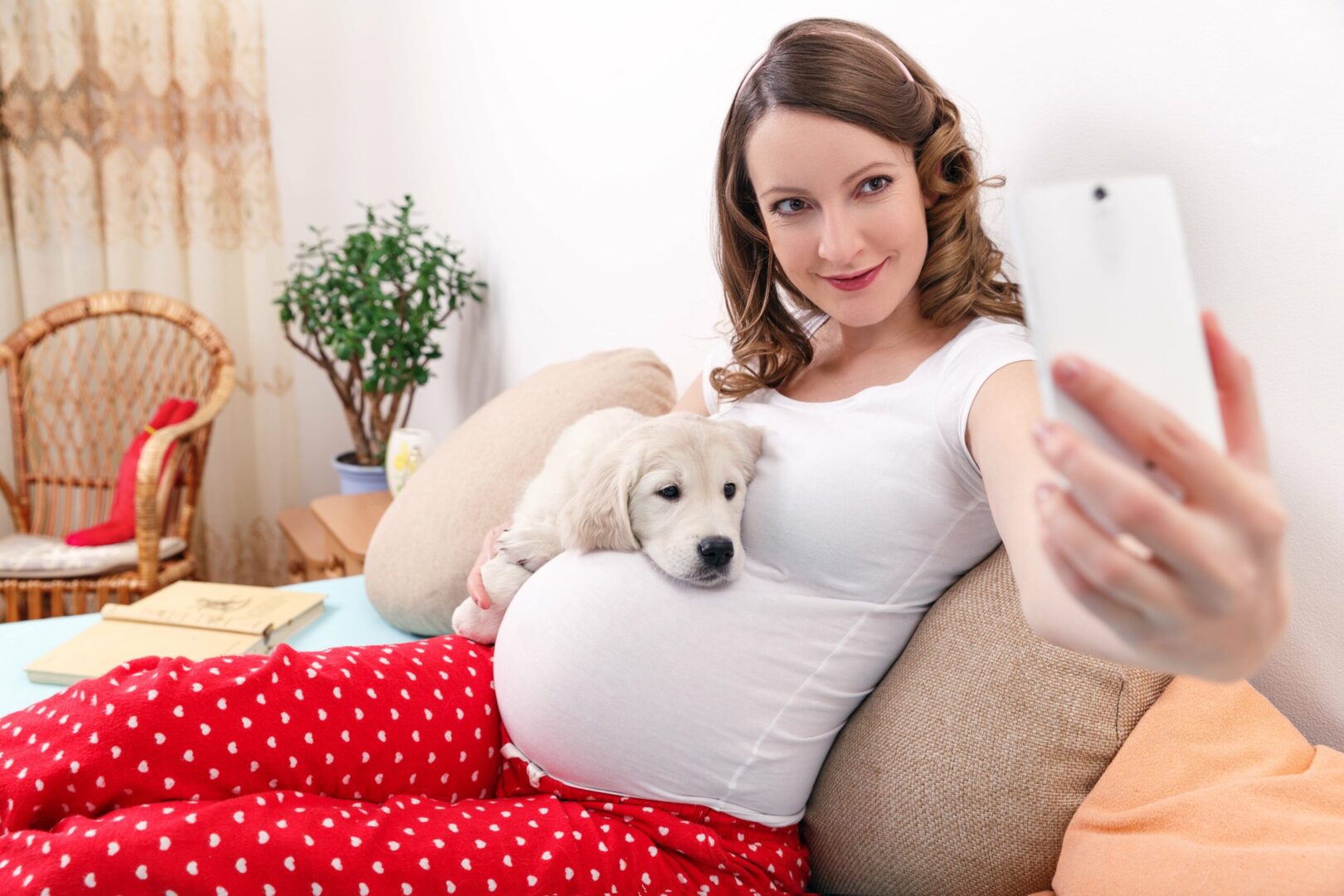 do-dogs-know-when-you-are-pregnant-rested-paws