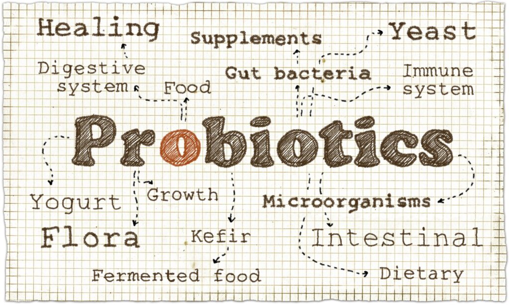 should-you-give-your-dog-probiotics-video-simply-for-dogs